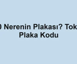 60 Nerenin Plakası? Tokat Plaka Kodu