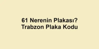 61 Nerenin Plakası? Trabzon Plaka Kodu