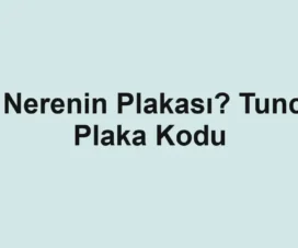 62 Nerenin Plakası? Tunceli Plaka Kodu