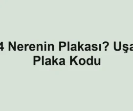 64 Nerenin Plakası? Uşak Plaka Kodu