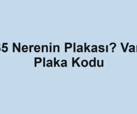 65 Nerenin Plakası? Van Plaka Kodu