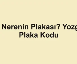 66 Nerenin Plakası? Yozgat Plaka Kodu
