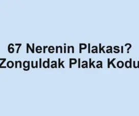 67 Nerenin Plakası? Zonguldak Plaka Kodu