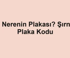 73 Nerenin Plakası? Şırnak Plaka Kodu