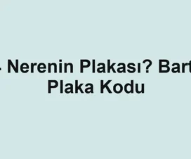 74 Nerenin Plakası? Bartın Plaka Kodu