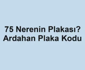 75 Nerenin Plakası? Ardahan Plaka Kodu