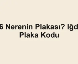 76 Nerenin Plakası? Iğdır Plaka Kodu