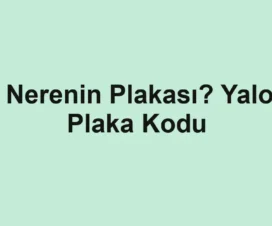 77 Nerenin Plakası? Yalova Plaka Kodu